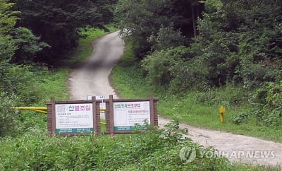 성묫길 배수로 빠진 차량 빼내려다 참변…60대 숨져