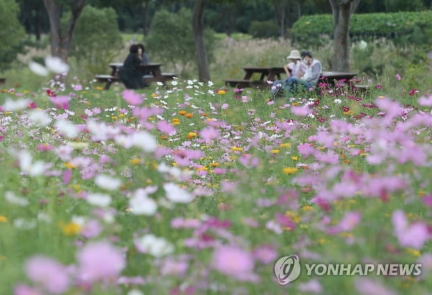 일교차 큰 가을 날씨…동해안·제주 낮까지 비