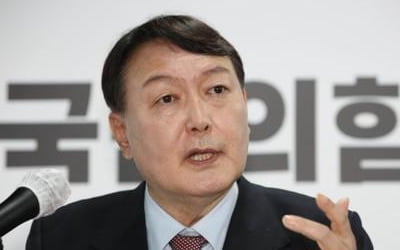 與, 尹 맹폭 "50억 게임 원조·김만배 누나와 괴이한 거래"