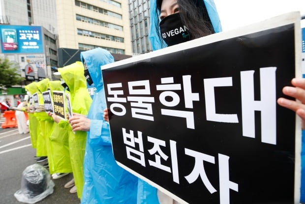 한국동물보호연합 소속 회원들이 지난달 15일 오후 서울 광화문 광장에서 '동물학대 강력처벌' 촉구하는 모습. /사진=뉴스1