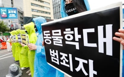 대한수의사회 "정부, 동물학대 사건 심각성 인지 못해…동문서답"