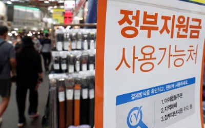 11만건 넘긴 재난지원금 이의신청…'건보료 조정'이 1위