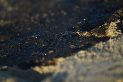 美 캘리포니아 남부 해상에서 대규모 기름 유출...'환경재앙' 우려