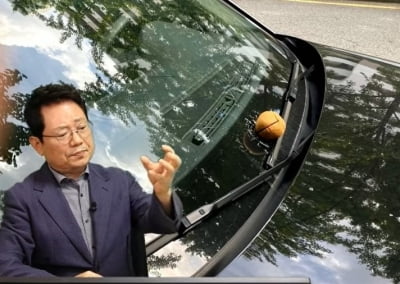 아파트 나무서 떨어진 열매에 차 유리 '와장창'…누구 책임? [아차車]