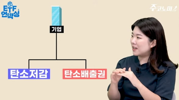 갈수록 돈 되는 탄소배출권…투자할 때 주의해야할 점은? [주코노미TV]