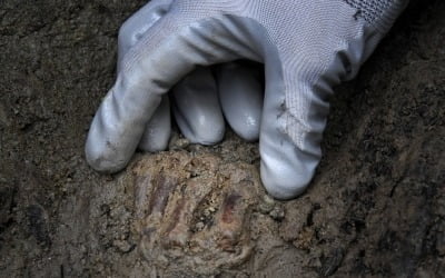 화산 폭발 매몰 추정…로마서 2000년된 남성 유골 발견