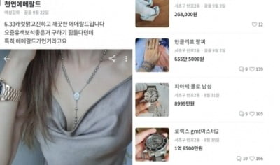 "당근마켓에 재벌女 떴다"…반포2동 130억 판매자, 누구?