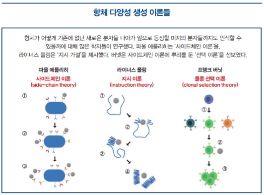 [이승우의 면역학 강의] 우주 밖 물질에도 반응할 ‘후천성 면역’