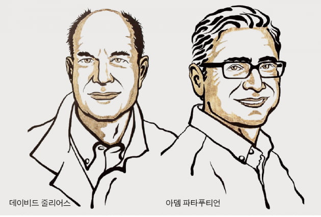 [2021 노벨 생리의학상] 온도·촉각 수용체 찾은 두 과학자 수상