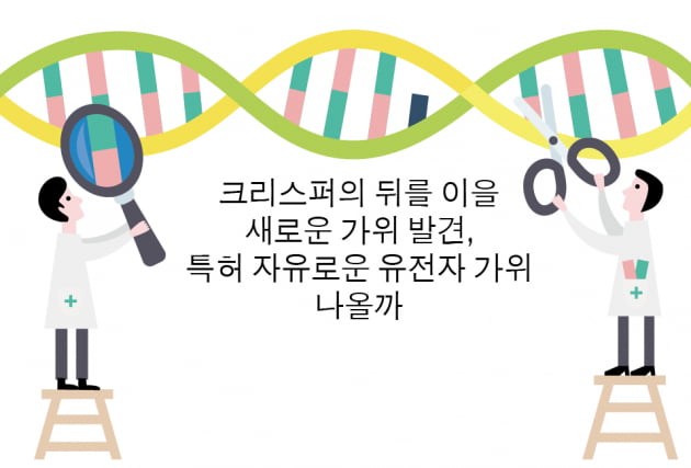 [과학에서 산업찾기] 크리스퍼의 뒤를 이을 새로운 가위 발견, 특허 자유로운 유전자 가위 나올까