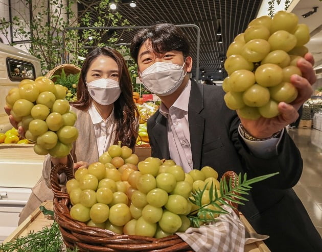 20일 서울 강남구 현대백화점 무역센터점 식품관에서 직원들이 대황옥 포도를 들어보이고 있다. / 사진=현대백화점 제공