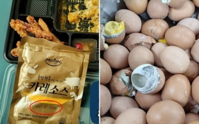 유통기한 지난 카레, 썩은 계란…軍 '급식 개선책' 6일만에 나온 폭로