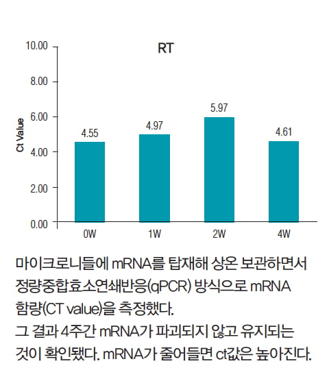 [유망기업] 라파스 “패치형 백신 개발 박차, cGMP급 국내 공장 내년 착공”