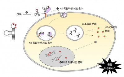  압타머사이언스 ‘AST-201’