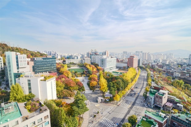 서강대 캠퍼스 전경. 서강대 제공.