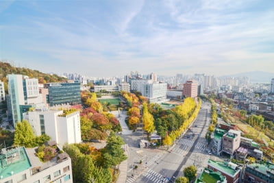 서강대, 국내 최초 메타버스 전문대학원 설립