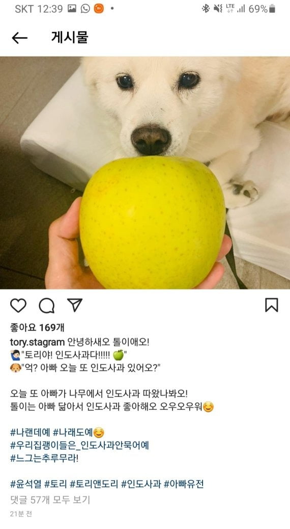 尹 '전두환 발언' 사과한날, 개에게 '사과'주는 사진 올렸다 삭제
