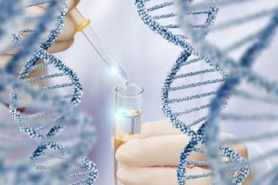 셀레믹스, 中 유전체 분석기업과 ‘비티식’ 공급 계약 체결