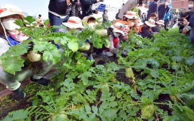 [포토] 서울보라매초등학교 행복나눔축제