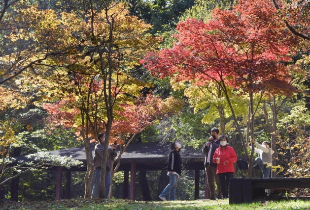 [포토] 단풍가뭄 속 국립수목원 단풍