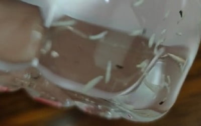 밀폐된 생수병 속에 하얀 구더기가?…中 '국민 생수'의 배신