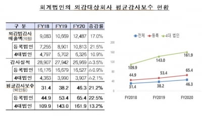 국내 회계법인 연 매출 4조원 돌파...4대 법인이 49.5...