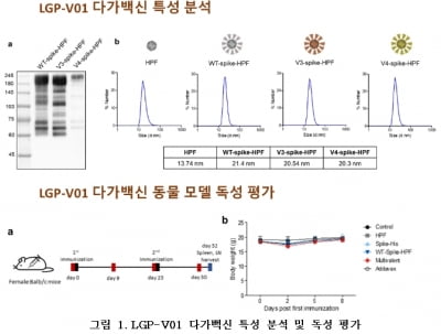 랩지노믹스, 코로나19 다가백신 동물실험서 효능·안전성 확인