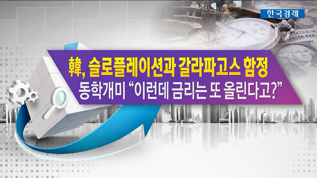 韓, 슬로플레이션과 갈라파고스 함정 동학개미 "이런데 금리는 또 올린다고?" [한상춘의 지금 세계는]