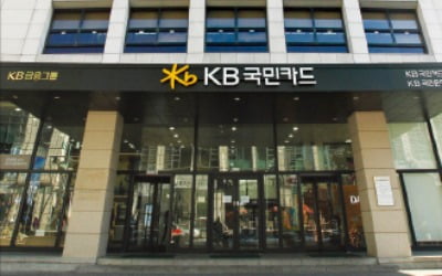 KB국민카드, 페이·마이데이터로 플랫폼기업 도약