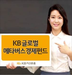 KB자산운용이 지난 6월 국내 최초로 출시한 메타버스 관련 펀드. /KB자산운용 제공 