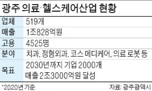 광주, 의료용 마이크로 로봇·AI 산업 키운다