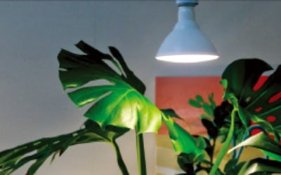 식물재배기·LED조명 … 홈가드닝 열풍