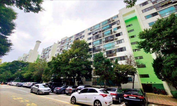 다음달 재건축 사업시행인가 신청을 할 예정인 서울 도곡2동 개포한신아파트. /은정진  기자 