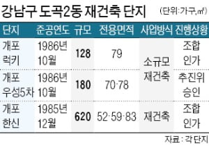 도곡동 '매봉역 3총사' 재건축 속도낸다