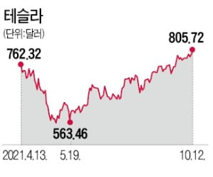 테슬라 탄 서학개미 신났다…주가 8개월 만에 800弗 회복