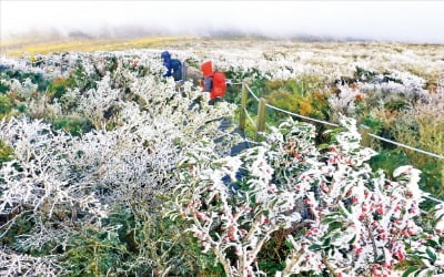  가을 삼킨 이상한파…한라산 올 첫 상고대