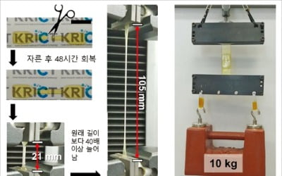 [과학과 놀자] 말랑해지며 상처를 스스로 메운 뒤 단단해지는 '자가치유 물질'…'구길 수 있는' 자동차와 TV의 소재로 사용 기대