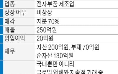 매출 250억 전자부품 제조업체 매물로