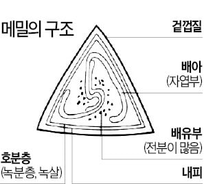 초격차 평양냉면을 만들어 보자 [문정훈의 푸드로드]