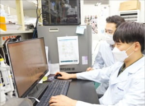 한국생명공학연구원 연구진이 오가노이드를 연구하고 있다. /한국생명공학연구원 제공 
