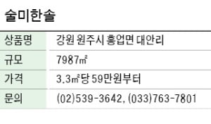 술미한솔, 원주 대안 저수지 옆 정남향 주택용지