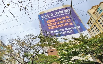 규제 적어 2년이면 착공…'소규모 재건축' 뜬다