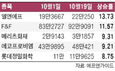 엘앤에프·F&F 목표가 또 올라