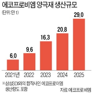 [단독] 에코프로, 포항 세계최대 양극재 공장 가동…"美·유럽에도 짓는다"