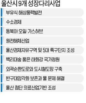 송철호 시장 "부유식 해상풍력단지 조성…'글로벌 수소도시' 울산 만들겠다"