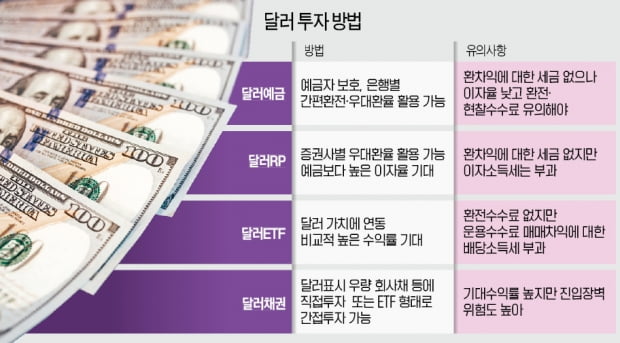 强달러의 시간…"최소 1년 내다보고 환율 떨어질 때마다 분할 매수"