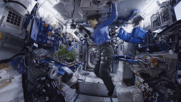 XR 얼라이언스는 국제 우주정거장에서 촬영한 영상을 360도 VR로 실감 나게 볼 수 있도록 제작했다.