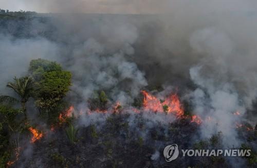 신음하는 '지구의 허파'…하루평균 축구장 3천300개 넓이 파괴