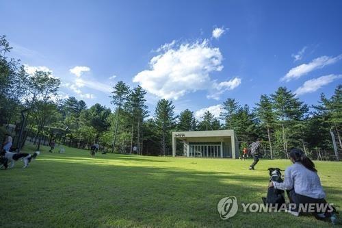 반려동물 동반여행지로 관심 높은 지역은 '제주'