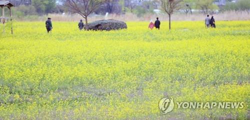 대구 금호강 일대 명품정원으로 바뀐다…강변도로 신설